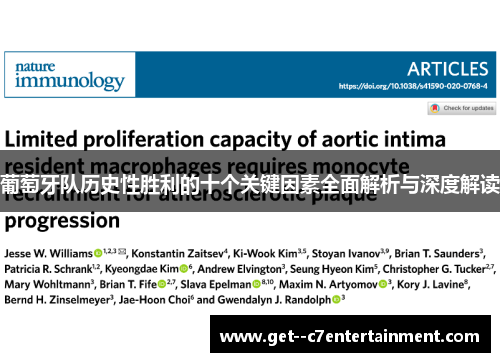 葡萄牙队历史性胜利的十个关键因素全面解析与深度解读