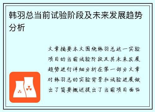 韩羽总当前试验阶段及未来发展趋势分析